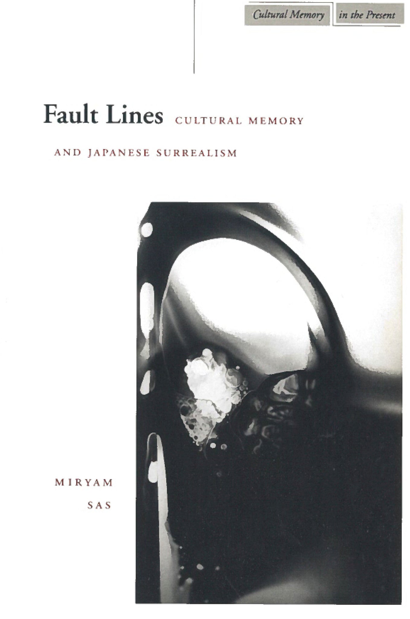 Cover image for Fault Lines ISBN 9780804734134